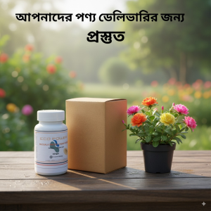Eco Power Energy Booster